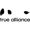True Alliance New Zealand Jobs Expertini